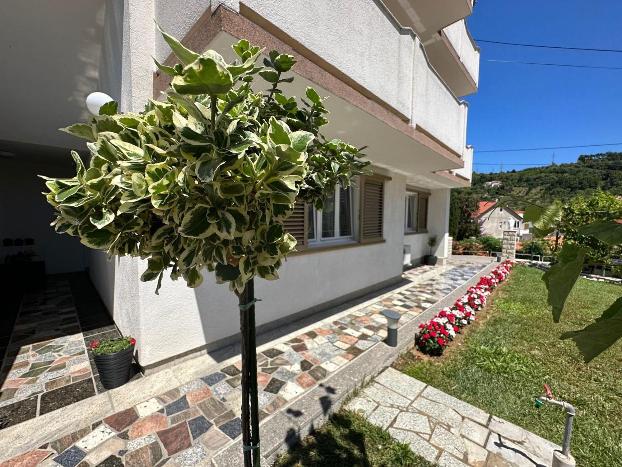 Apartments Vinse Near Rab Center Ραμπ Εξωτερικό φωτογραφία